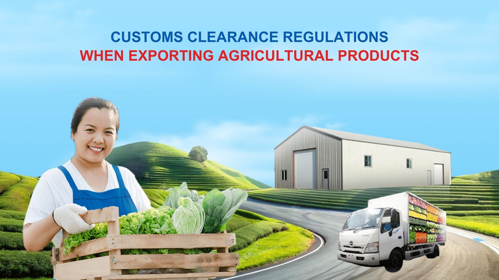 Curated visual reference: Picture Idea: Customs Clearance Process For Exporting Agricultural Products